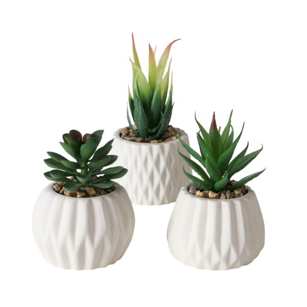 PETITE DÉCORATION – Image 2