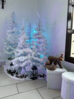 Sapin blanc – Image 4
