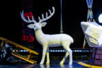Cerf blanc – Image 2