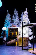 Sapin blanc – Image 2