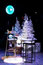Sapin blanc – Image 3