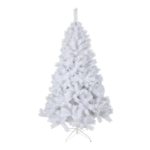 Sapin blanc