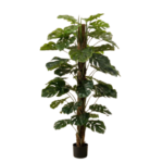 Montsera artificielle